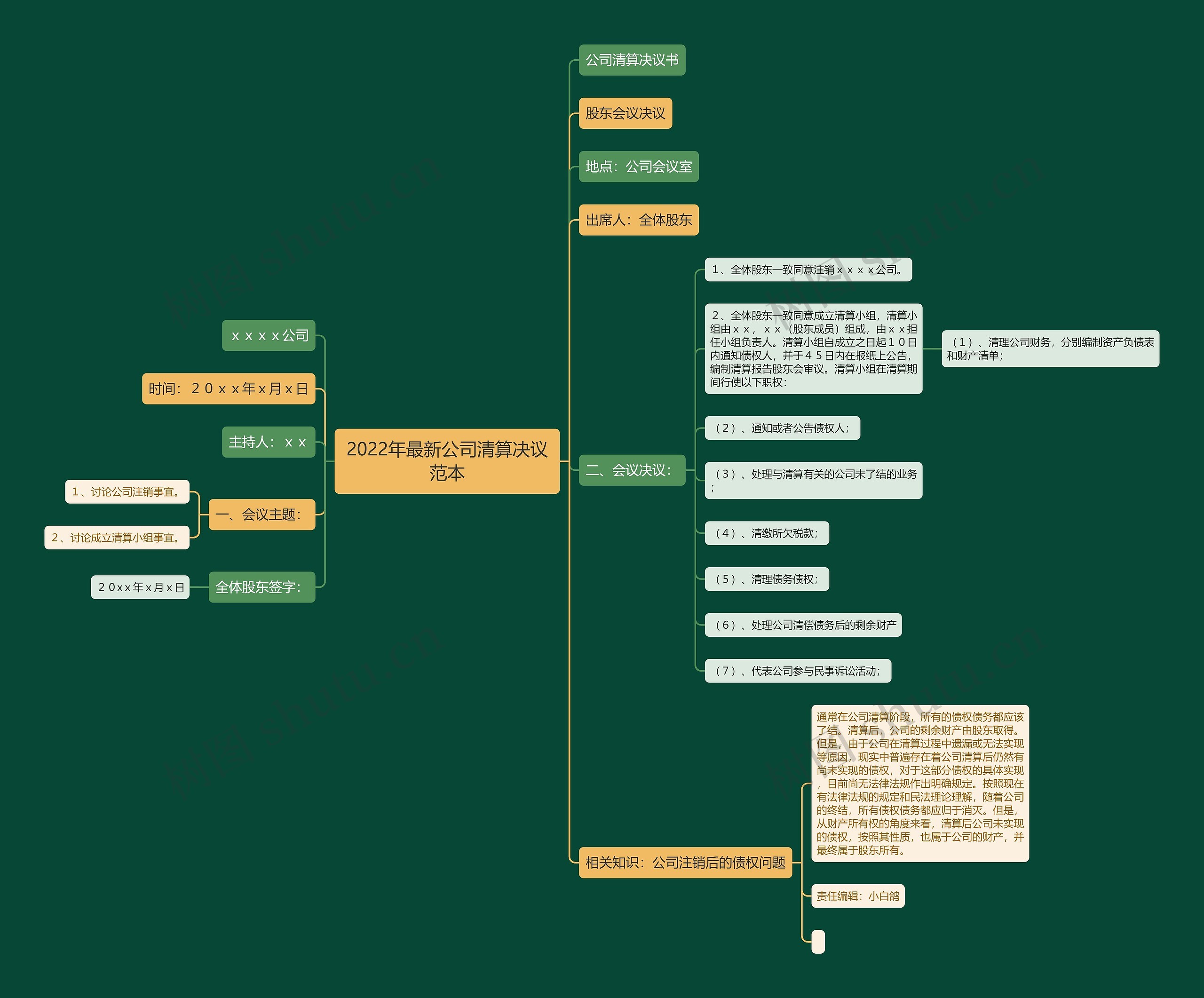 2022年最新公司清算决议范本思维导图