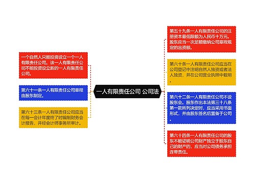 一人有限责任公司 公司法