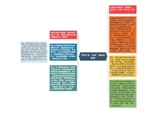 民营企业“改制”面临的困惑