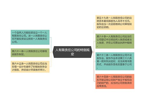 人有限责任公司的特别规定