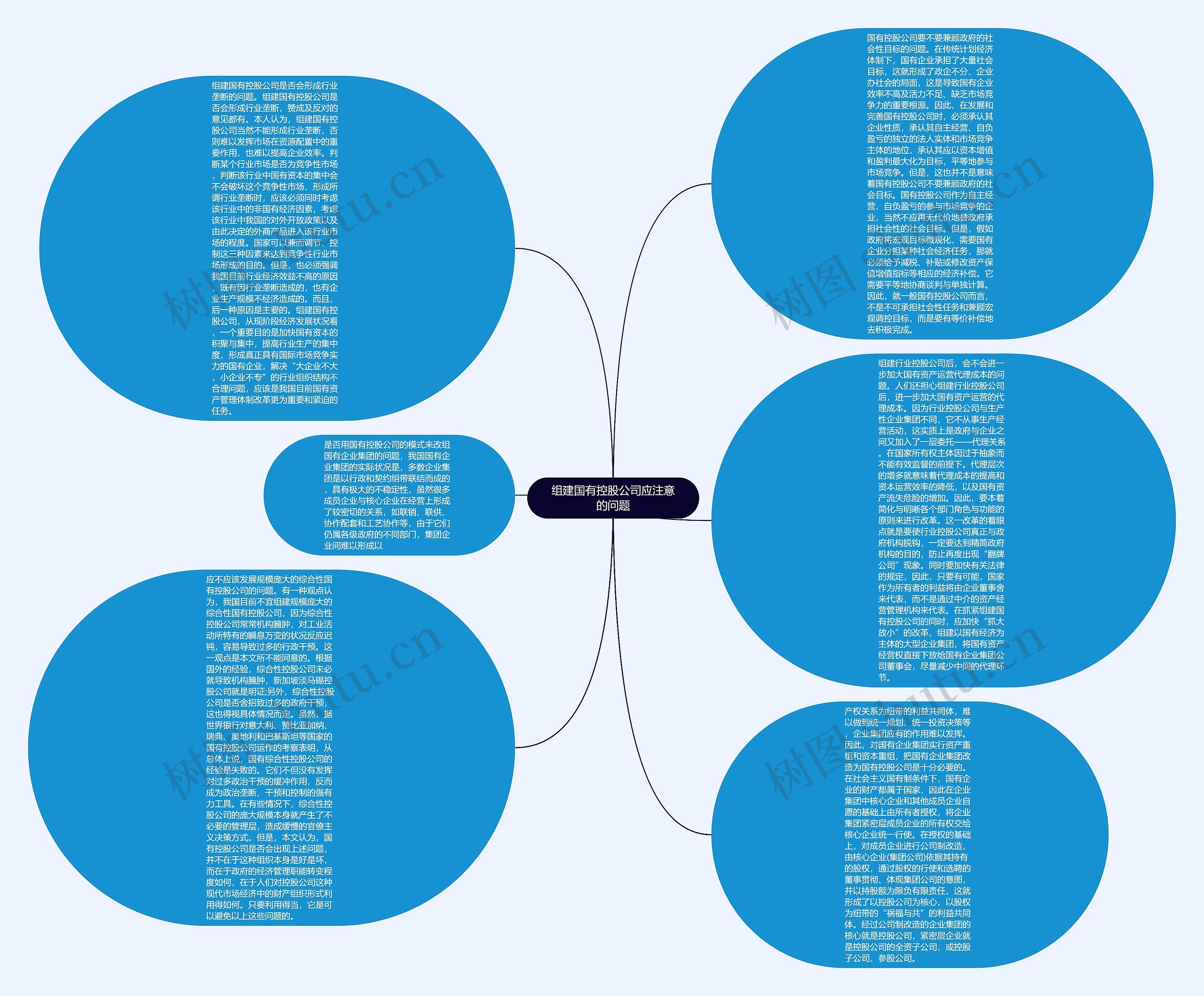 组建国有控股公司应注意的问题思维导图