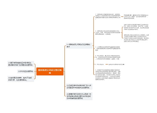 国有独资公司设立登记指南
