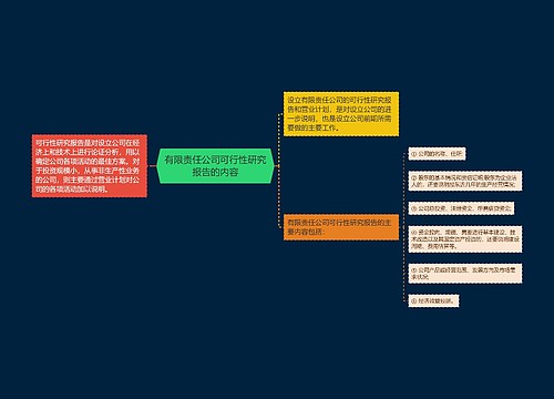 有限责任公司可行性研究报告的内容