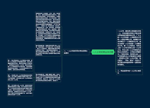 一人公司犯罪主体问题