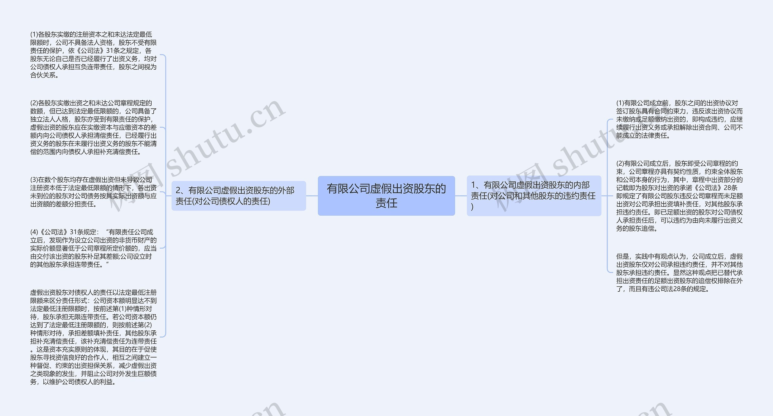 有限公司虚假出资股东的责任