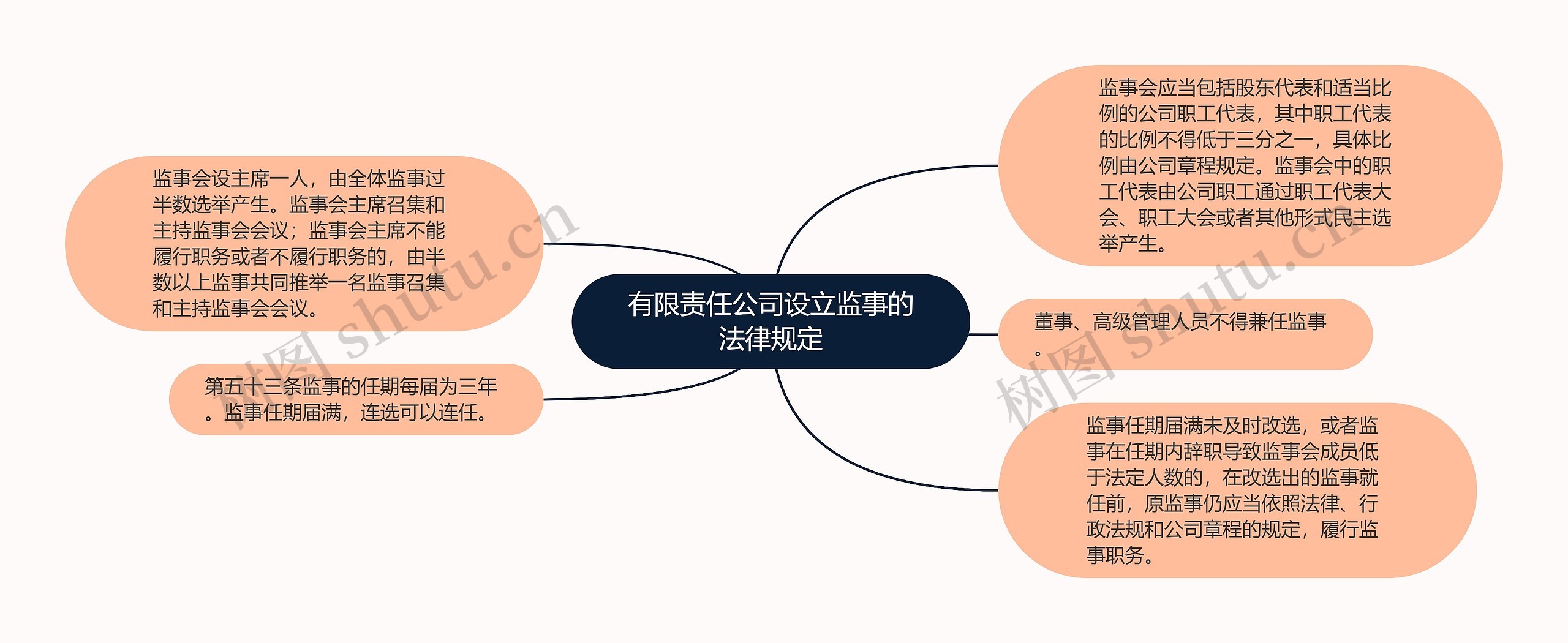 有限责任公司设立监事的法律规定思维导图