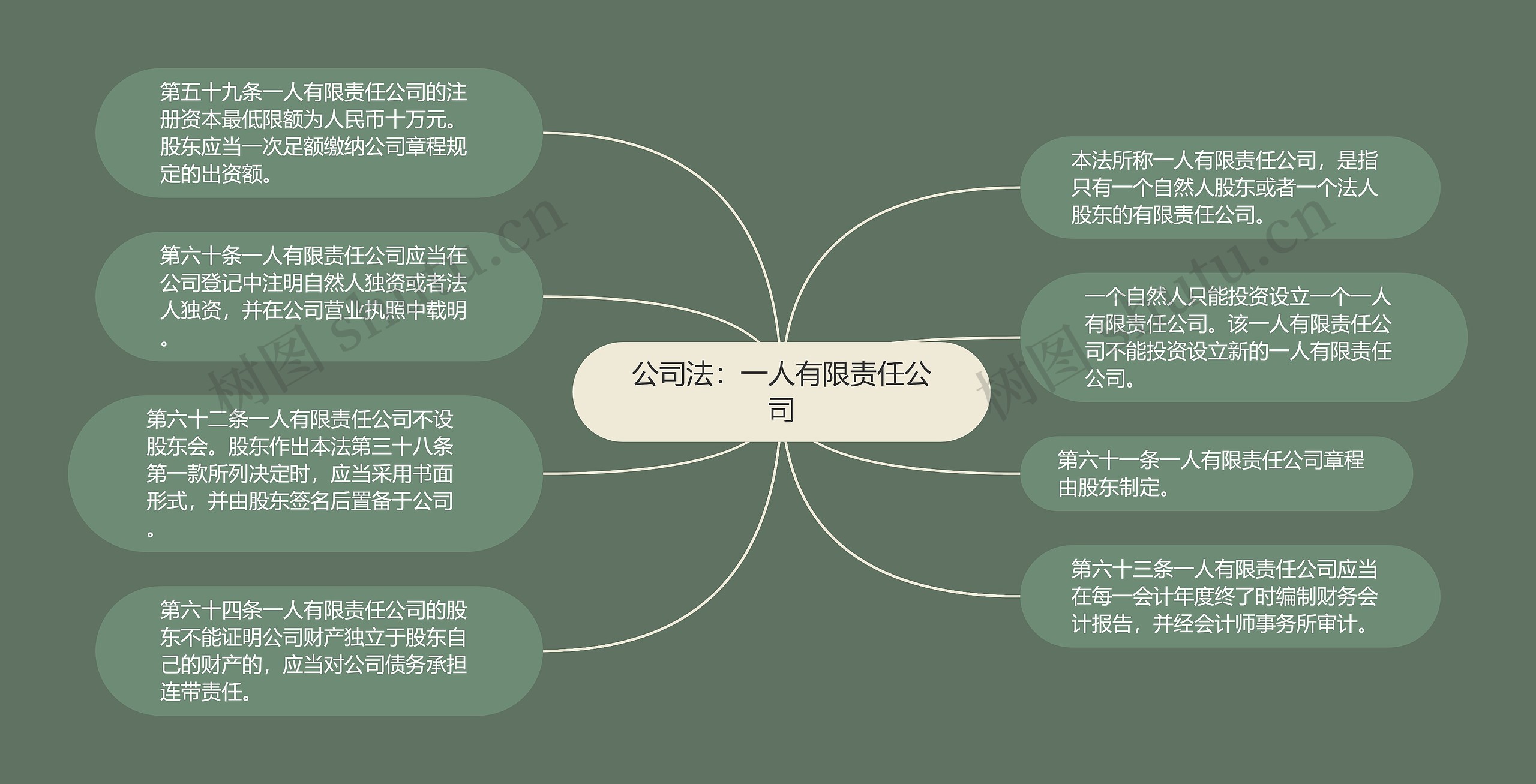 公司法：一人有限责任公司思维导图