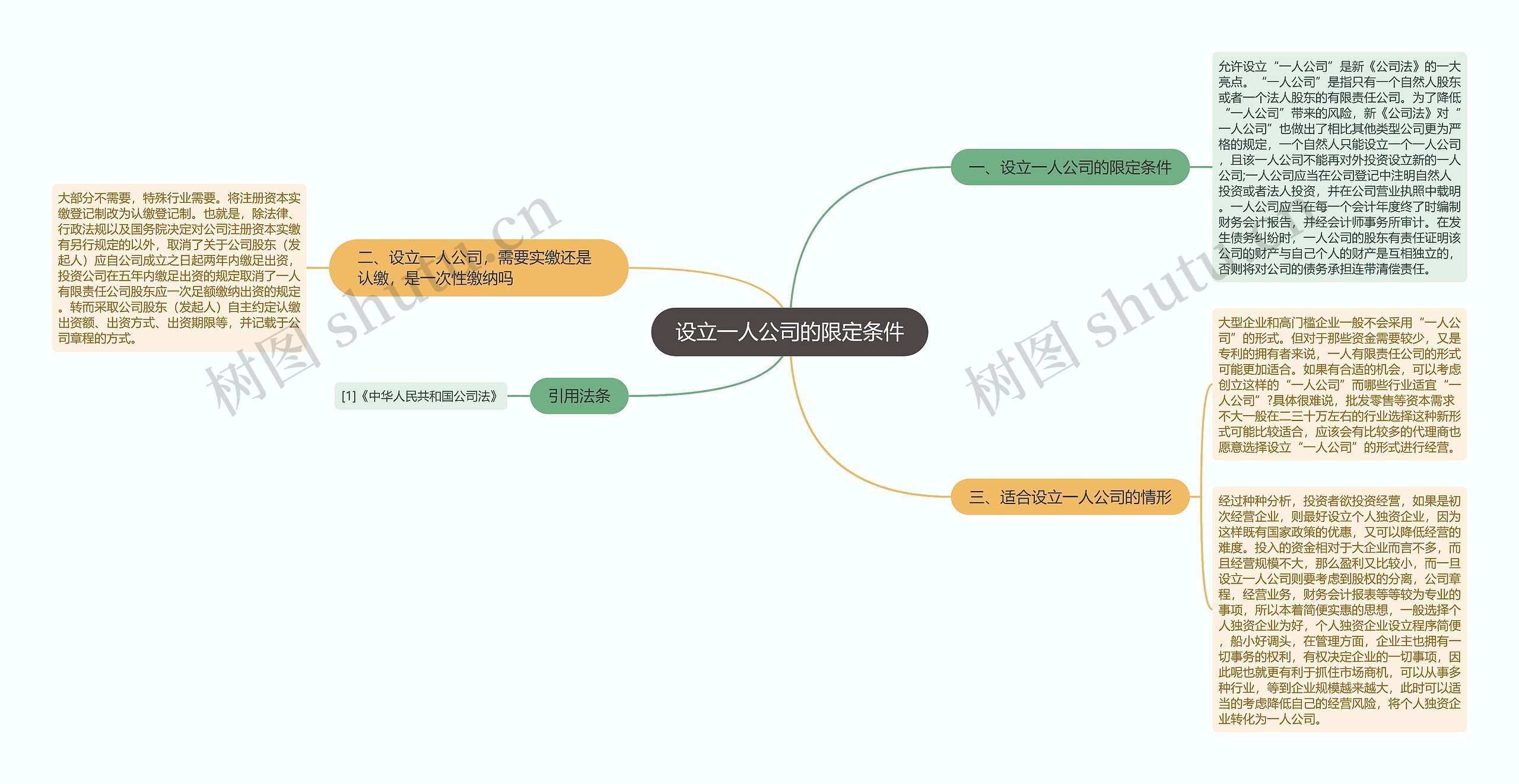 设立一人公司的限定条件