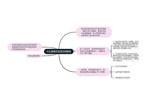 什么是政府投资及其原则