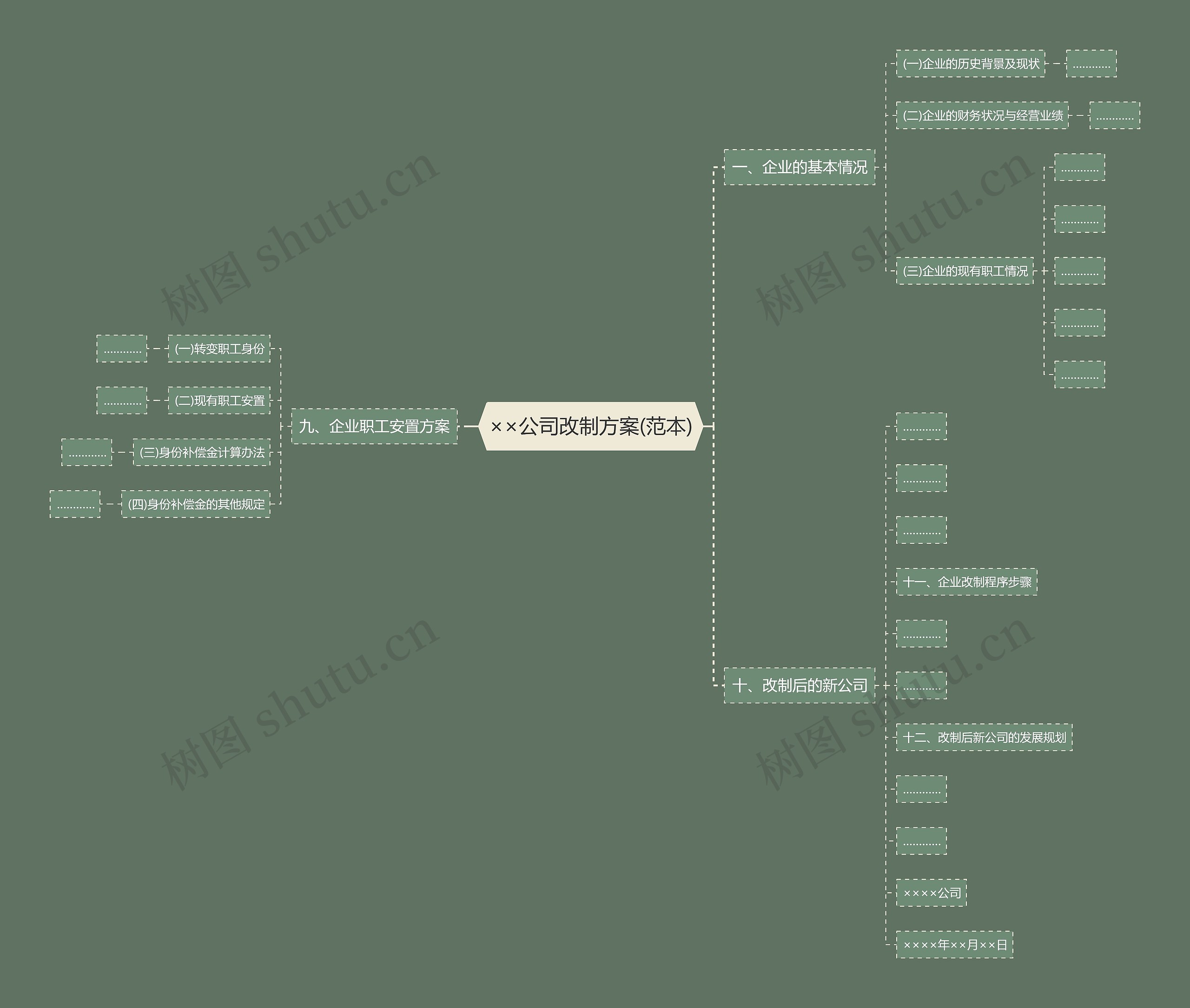××公司改制方案(范本)思维导图