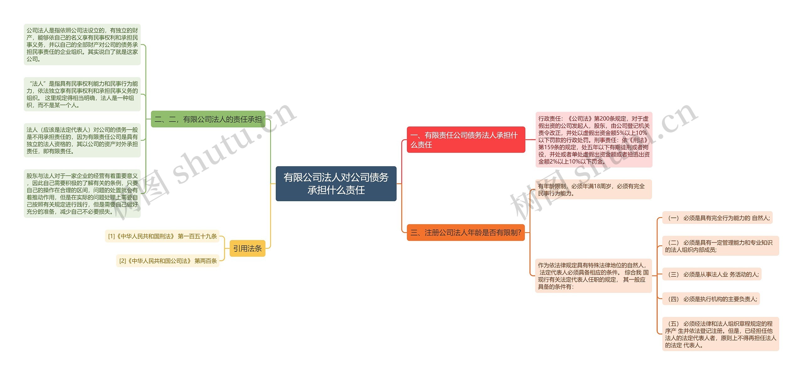 有限公司法人对公司债务承担什么责任