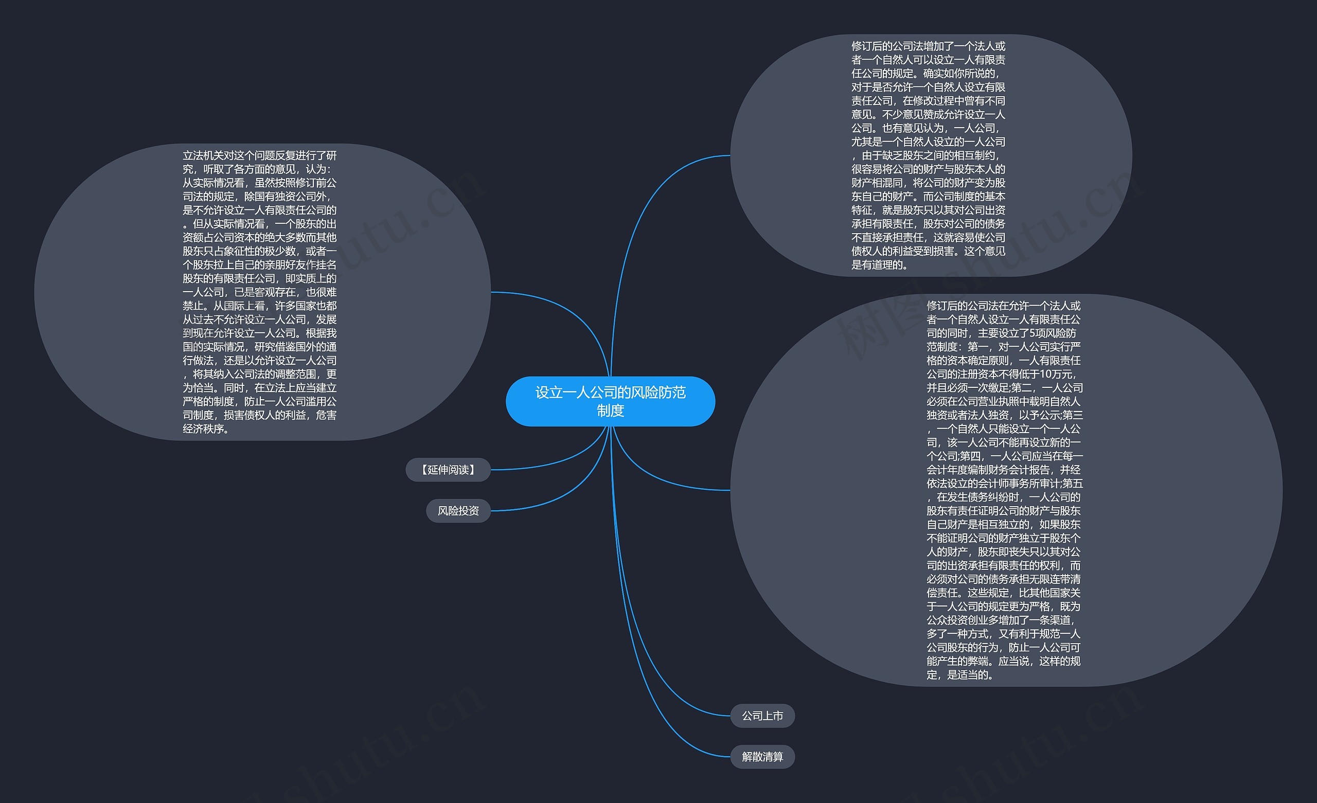 设立一人公司的风险防范制度思维导图