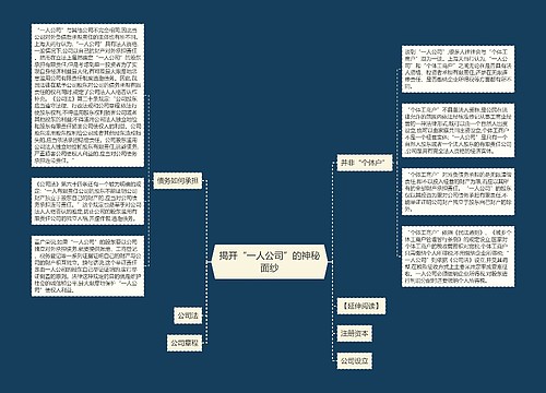 揭开“一人公司”的神秘面纱