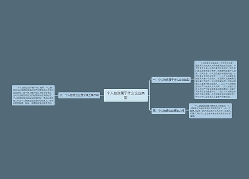 个人独资属于什么企业类型