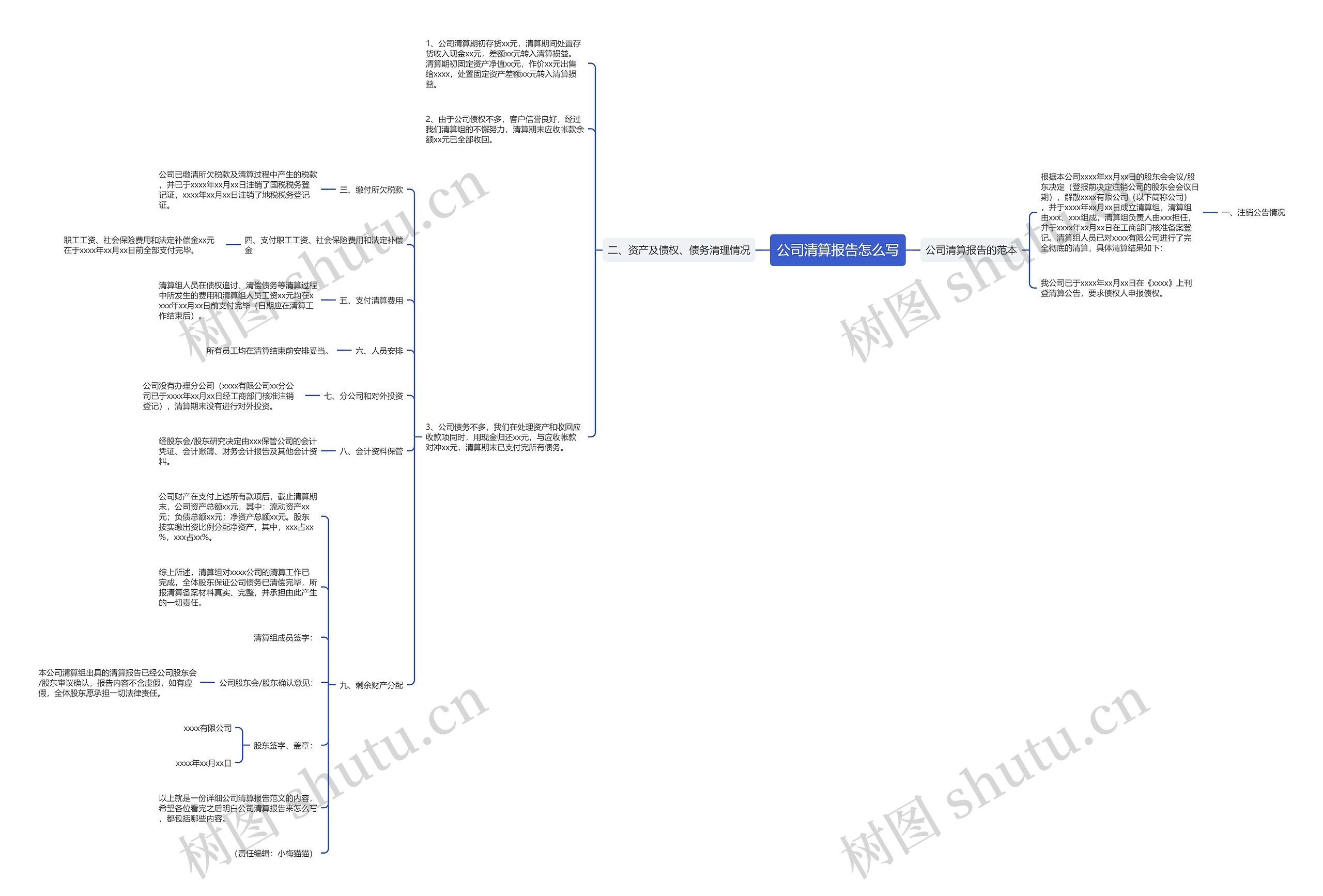 公司清算报告怎么写思维导图