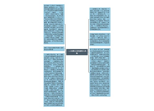 一人有限公司的债权人风险