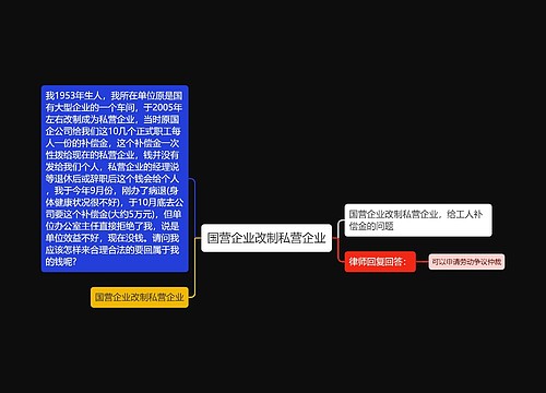 国营企业改制私营企业