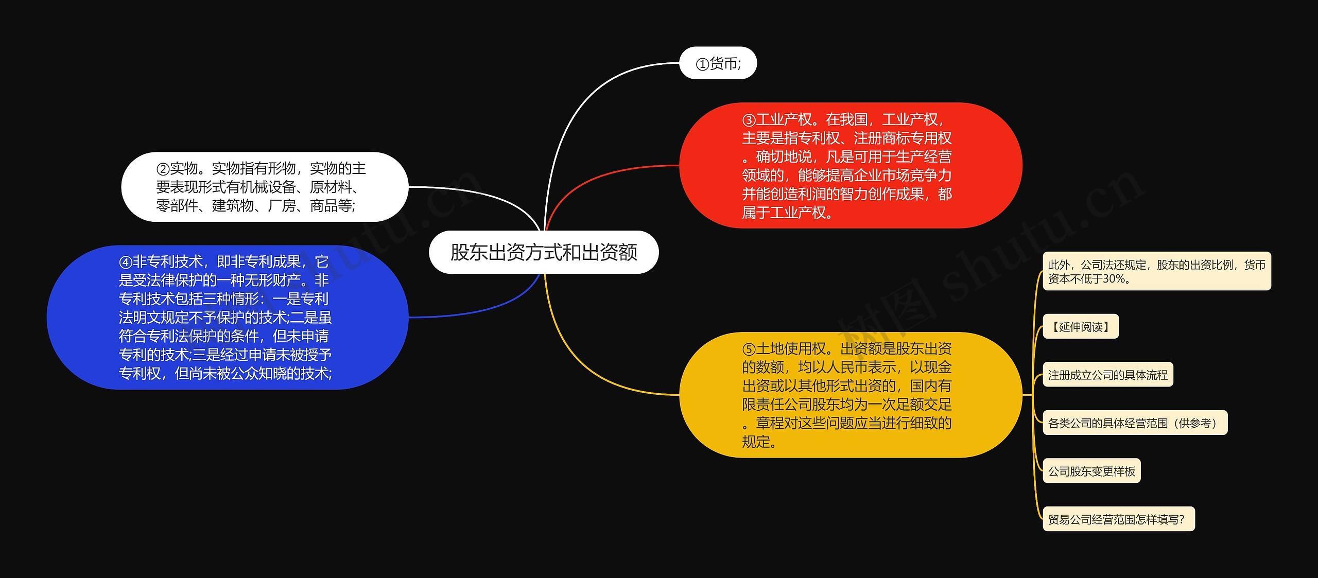 股东出资方式和出资额思维导图