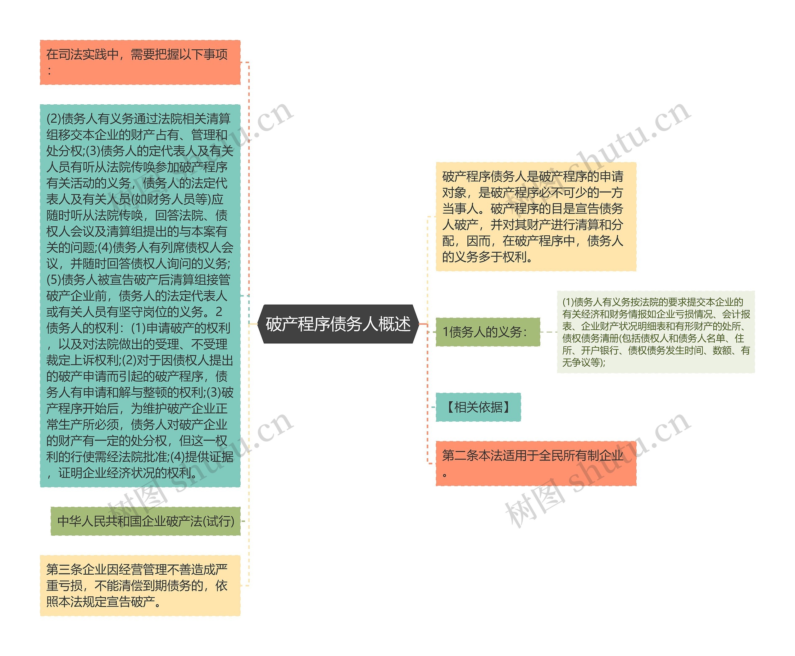 破产程序债务人概述思维导图