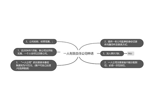 一人有限责任公司申请