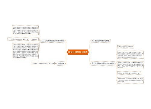 股东公司是什么意思