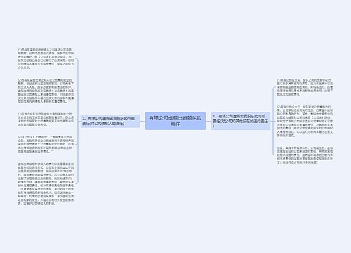 有限公司虚假出资股东的责任