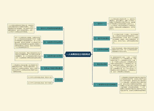 一人有限责任公司的特点