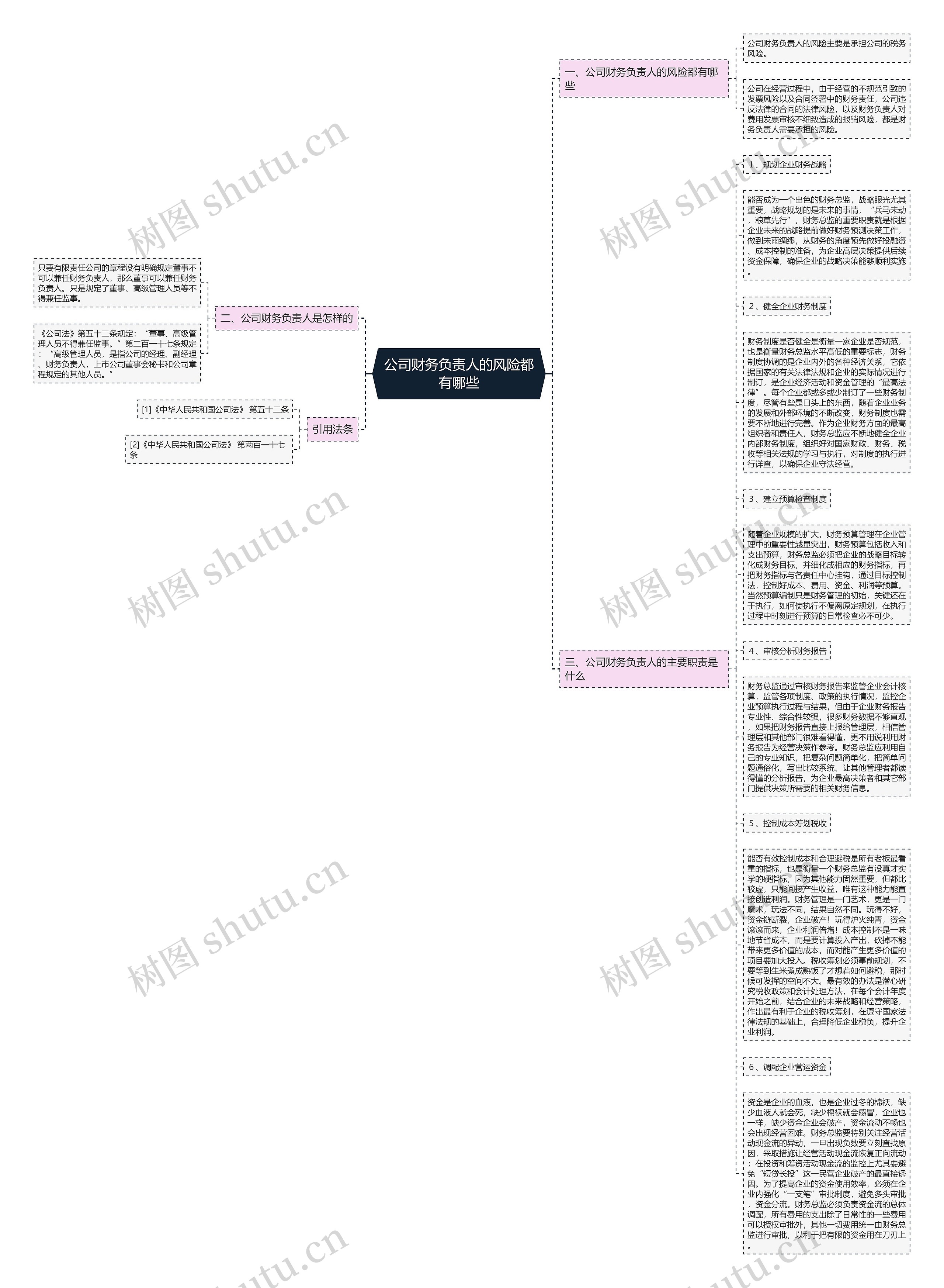 公司财务负责人的风险都有哪些思维导图