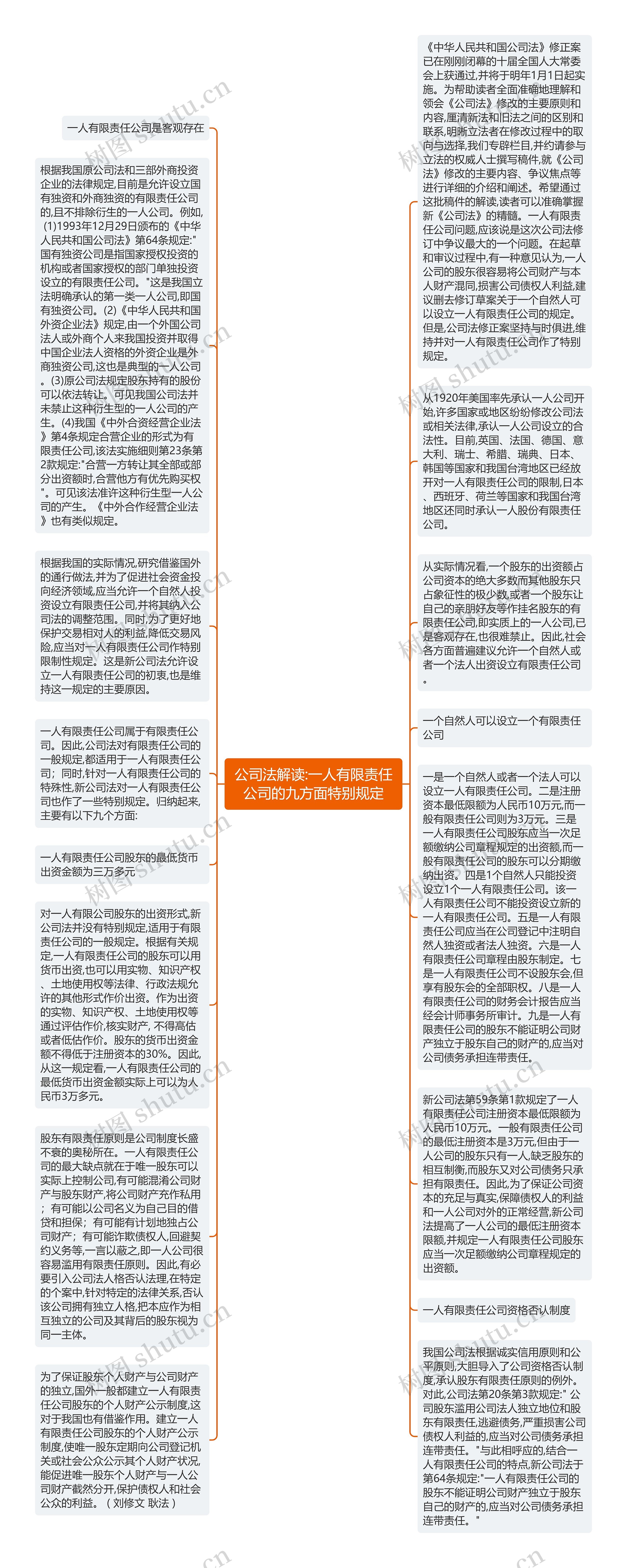 公司法解读:一人有限责任公司的九方面特别规定思维导图