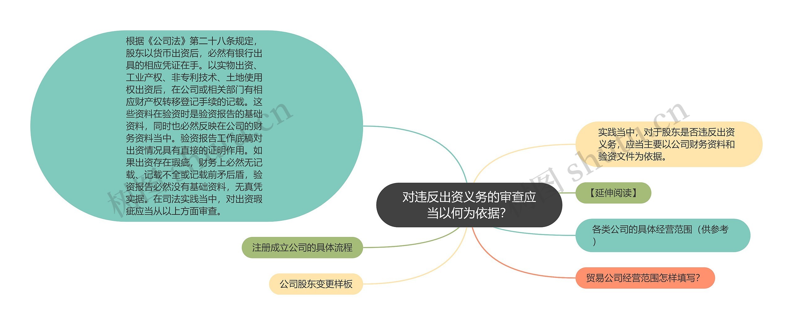 对违反出资义务的审查应当以何为依据？思维导图