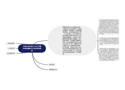 乡镇企业改制上市公司偏好股权融资方式的具体原因