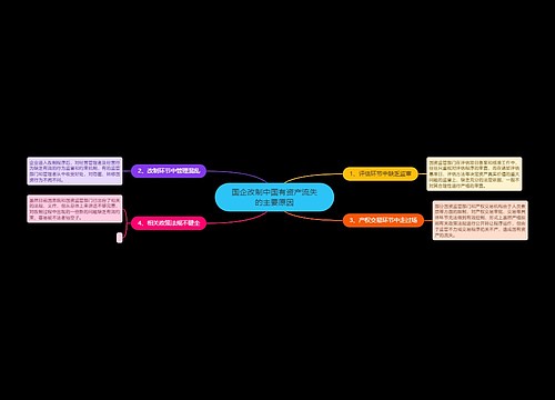 国企改制中国有资产流失的主要原因