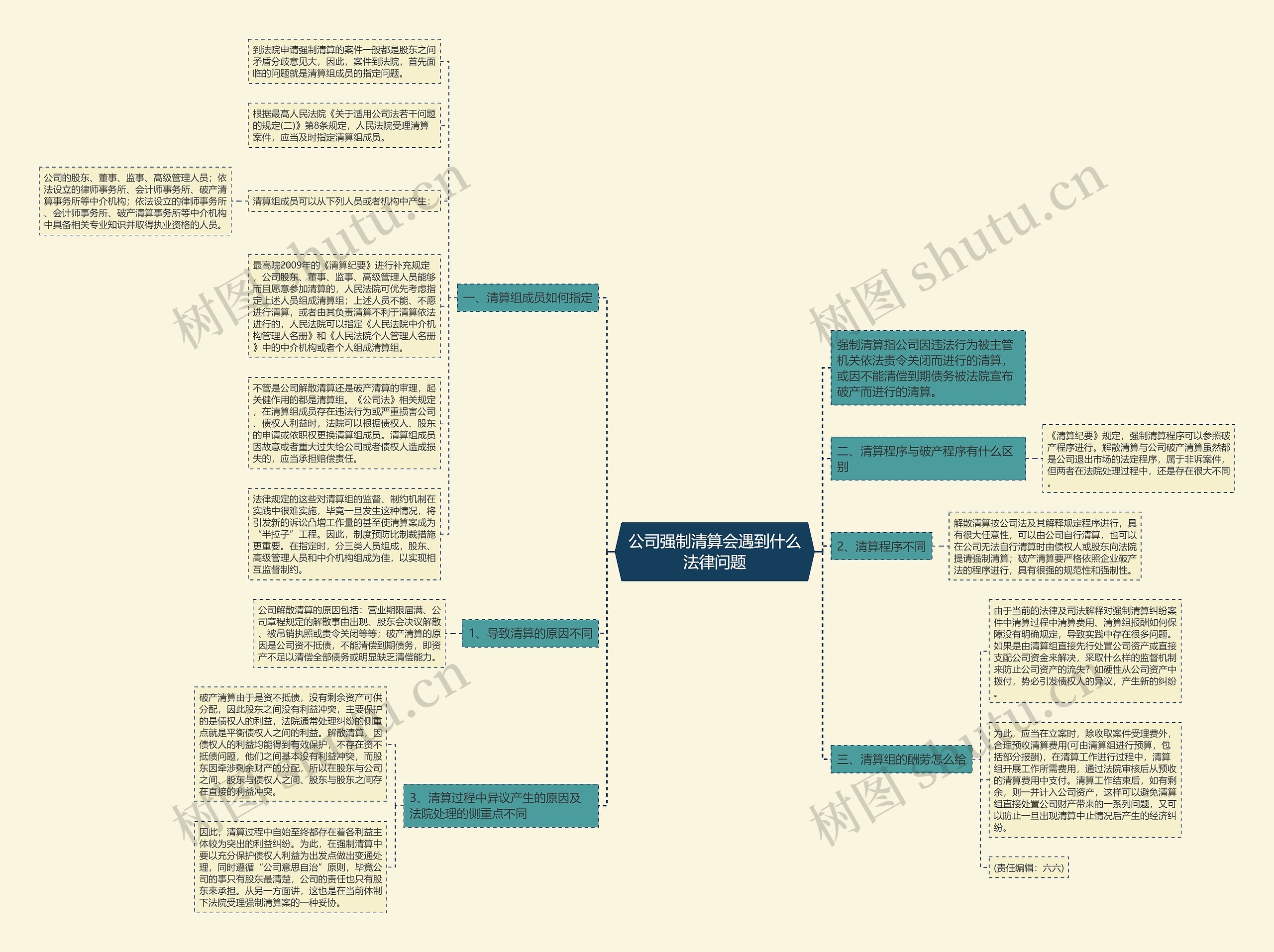 公司强制清算会遇到什么法律问题思维导图