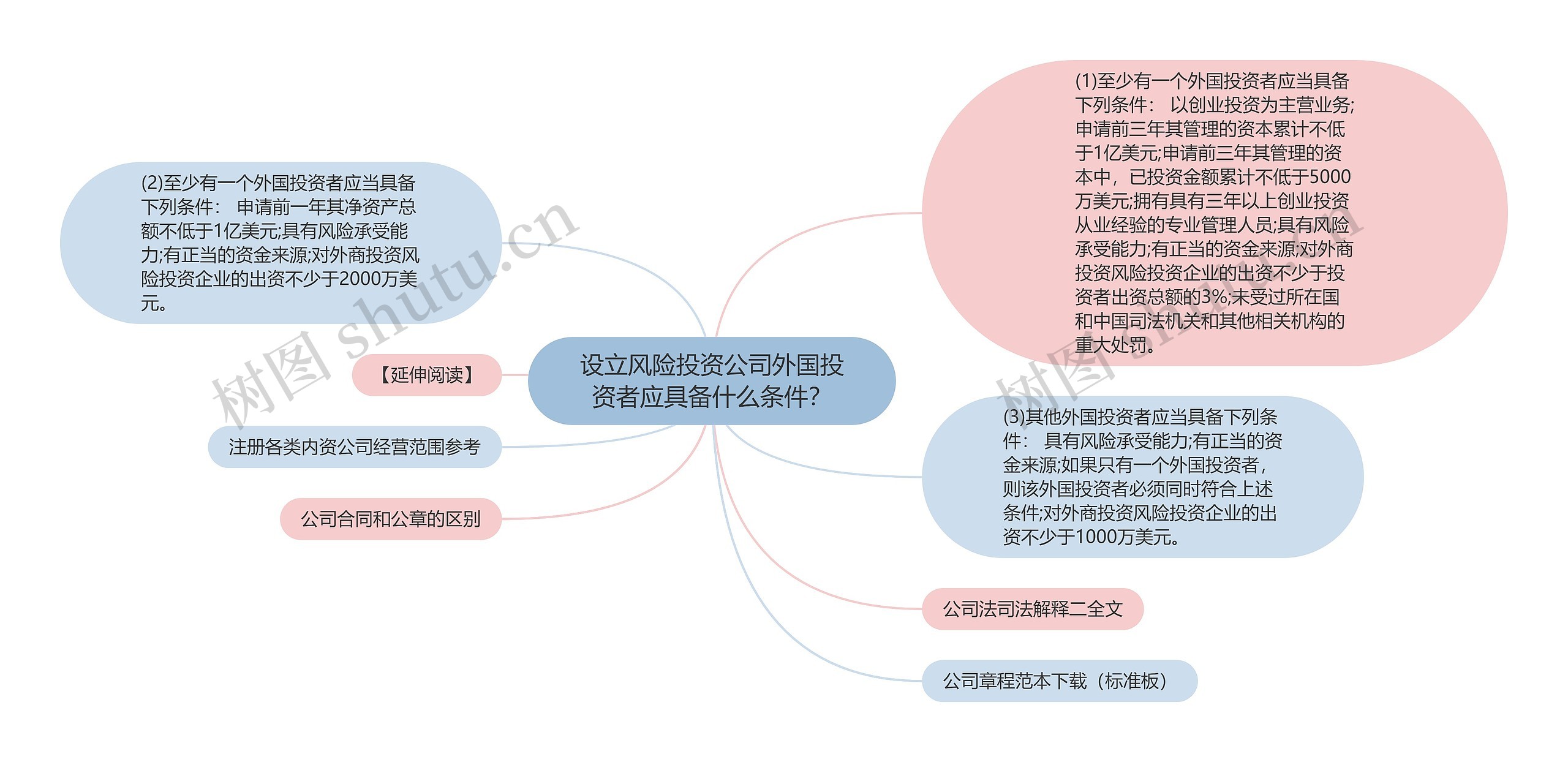 设立风险投资公司外国投资者应具备什么条件？思维导图