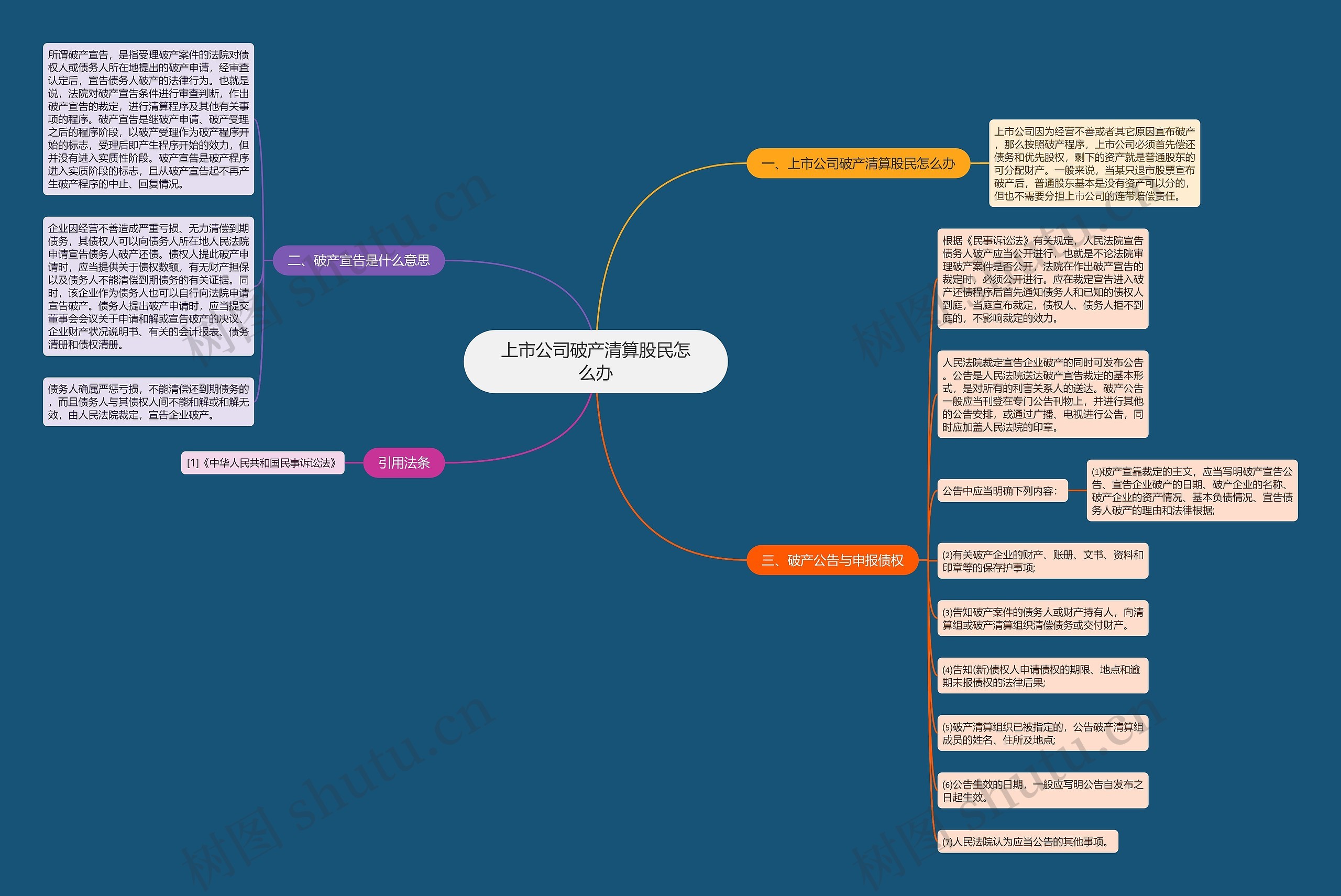上市公司破产清算股民怎么办思维导图