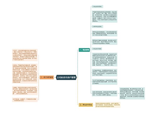 公司的货币资产管理