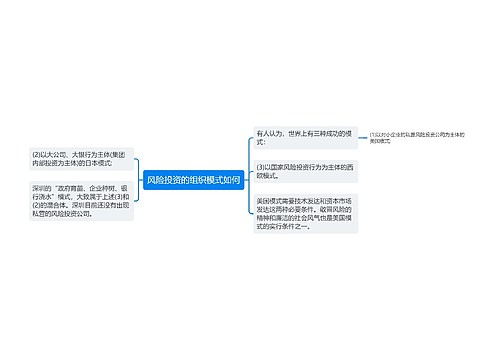 风险投资的组织模式如何