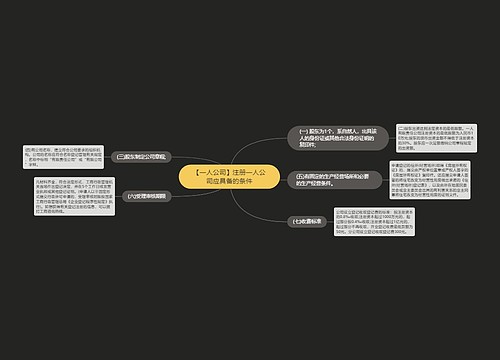 【一人公司】注册一人公司应具备的条件