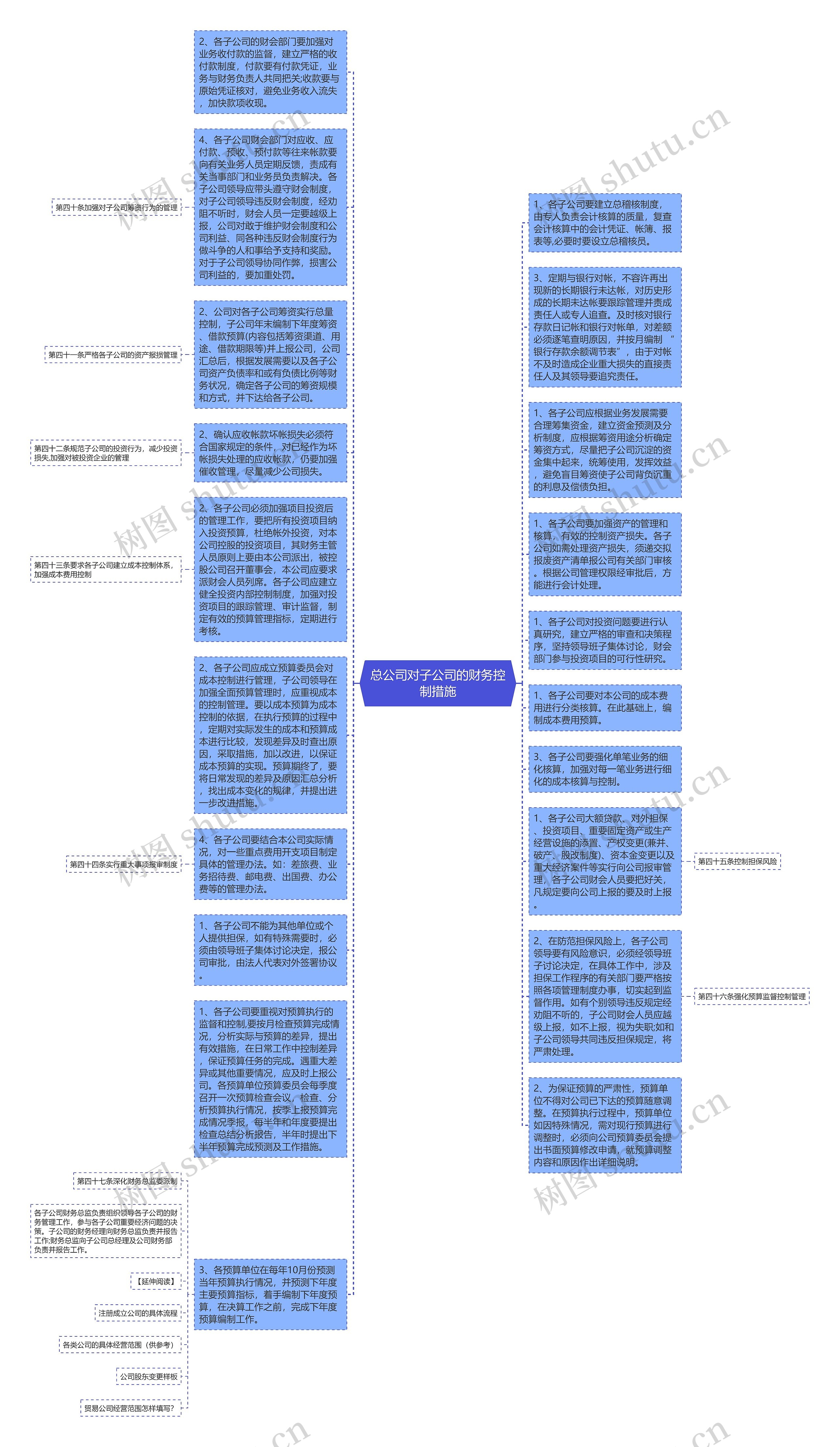 总公司对子公司的财务控制措施