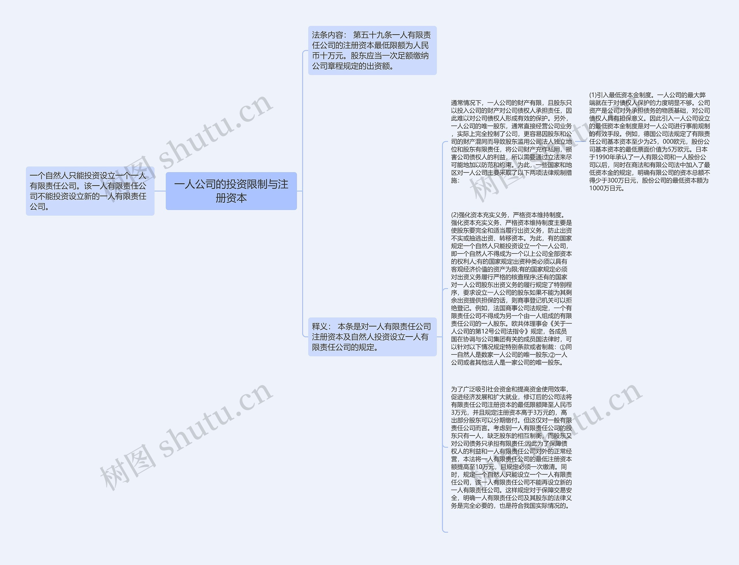 一人公司的投资限制与注册资本