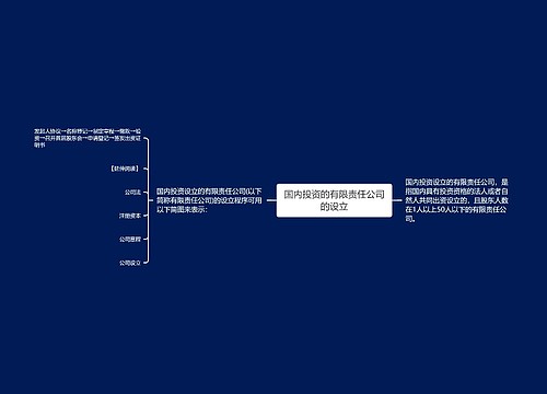 国内投资的有限责任公司的设立