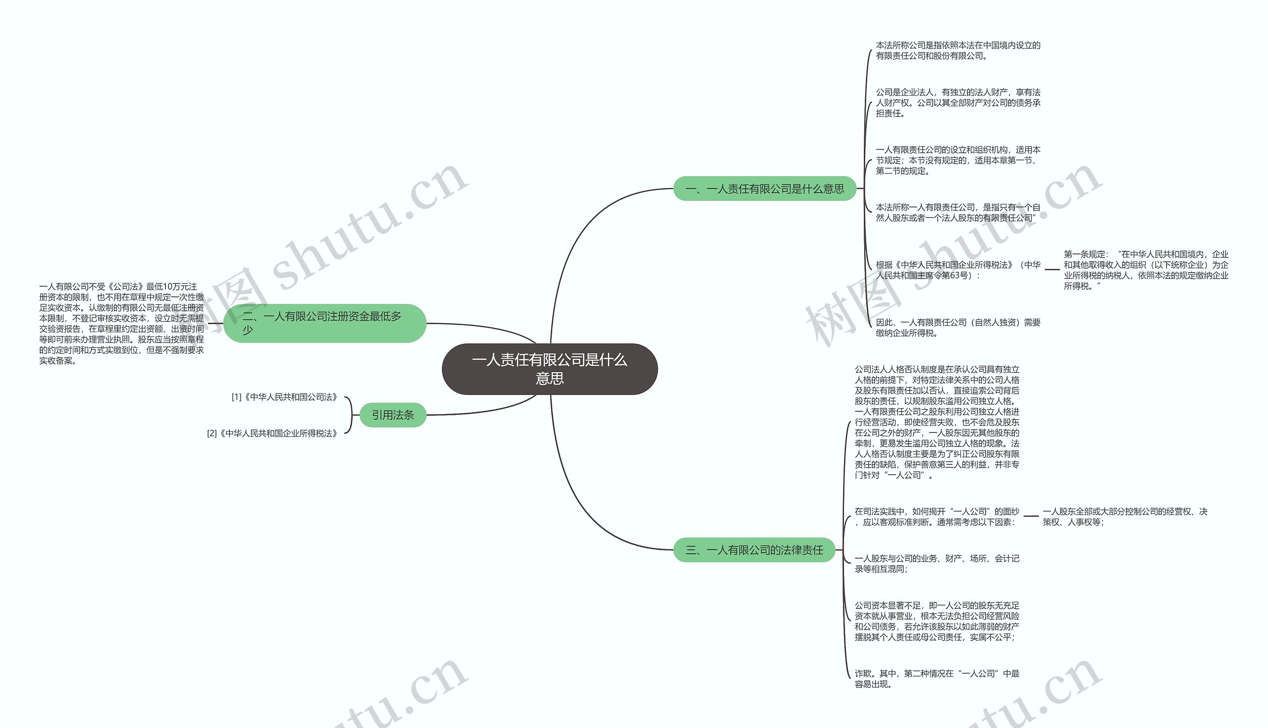 一人责任有限公司是什么意思