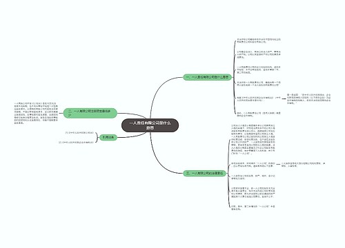 一人责任有限公司是什么意思