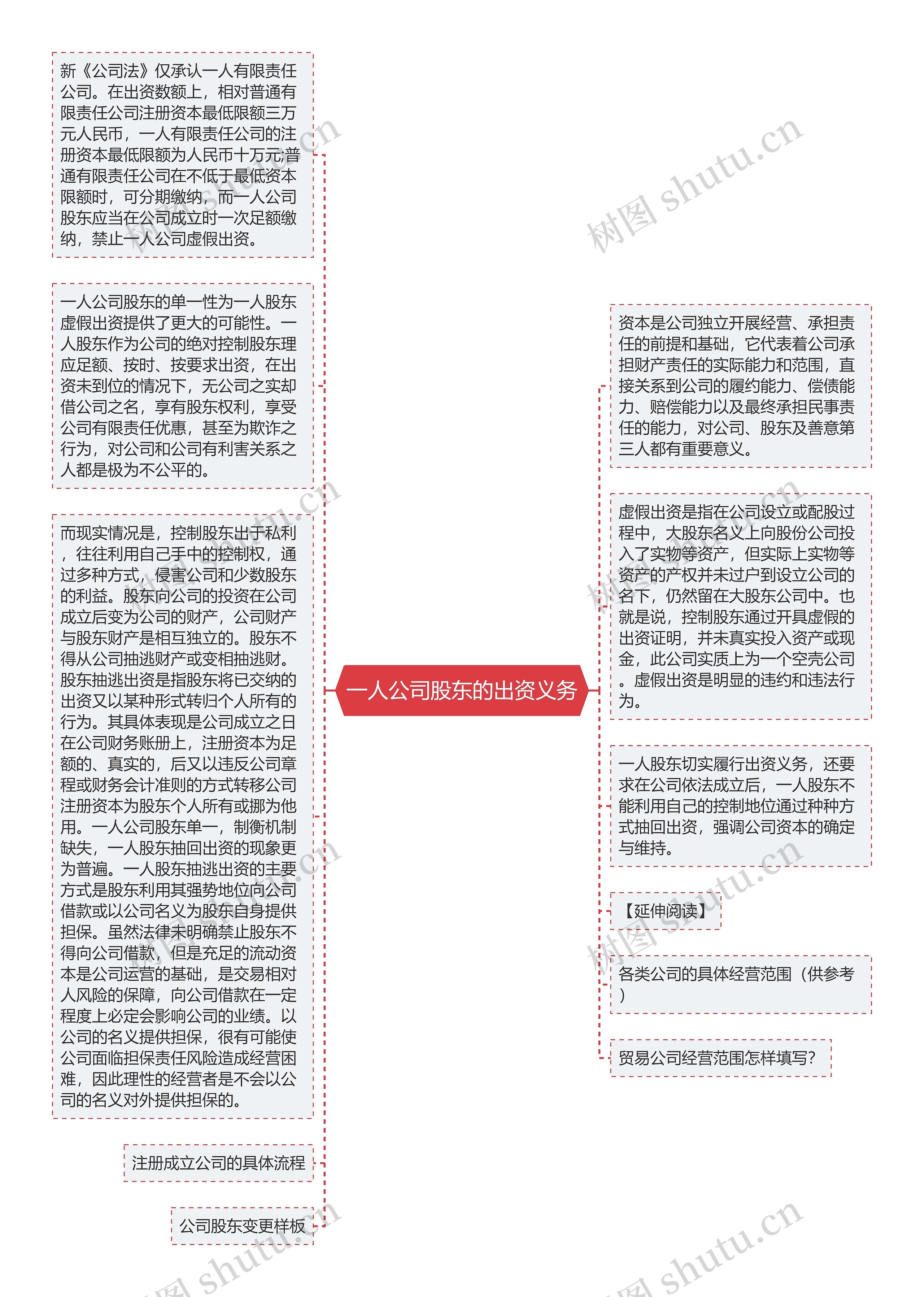 一人公司股东的出资义务思维导图