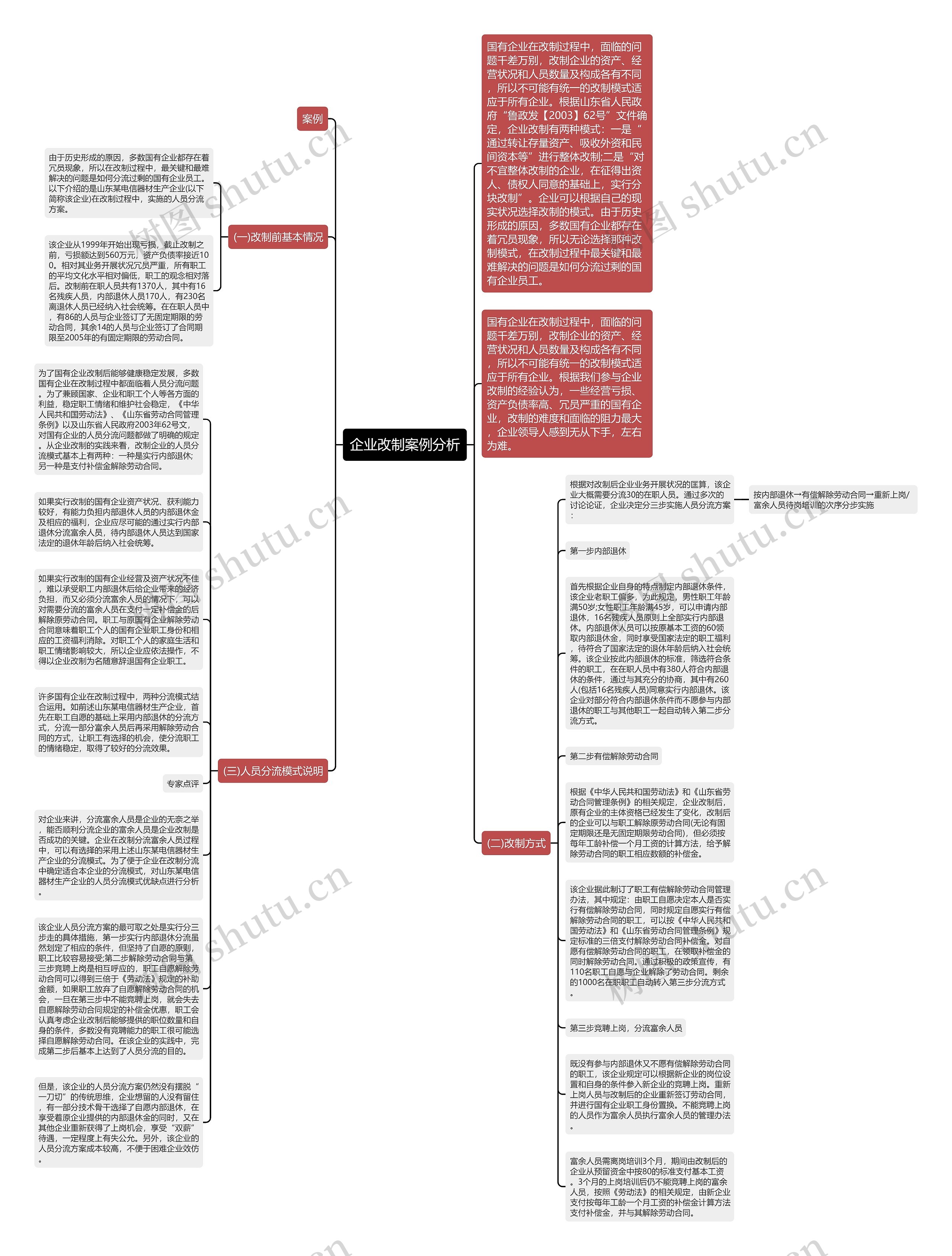 企业改制案例分析思维导图