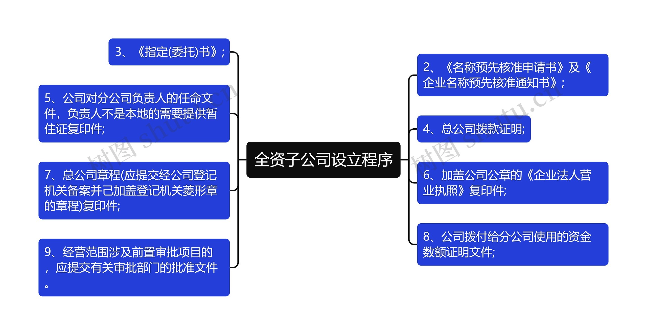 全资子公司设立程序