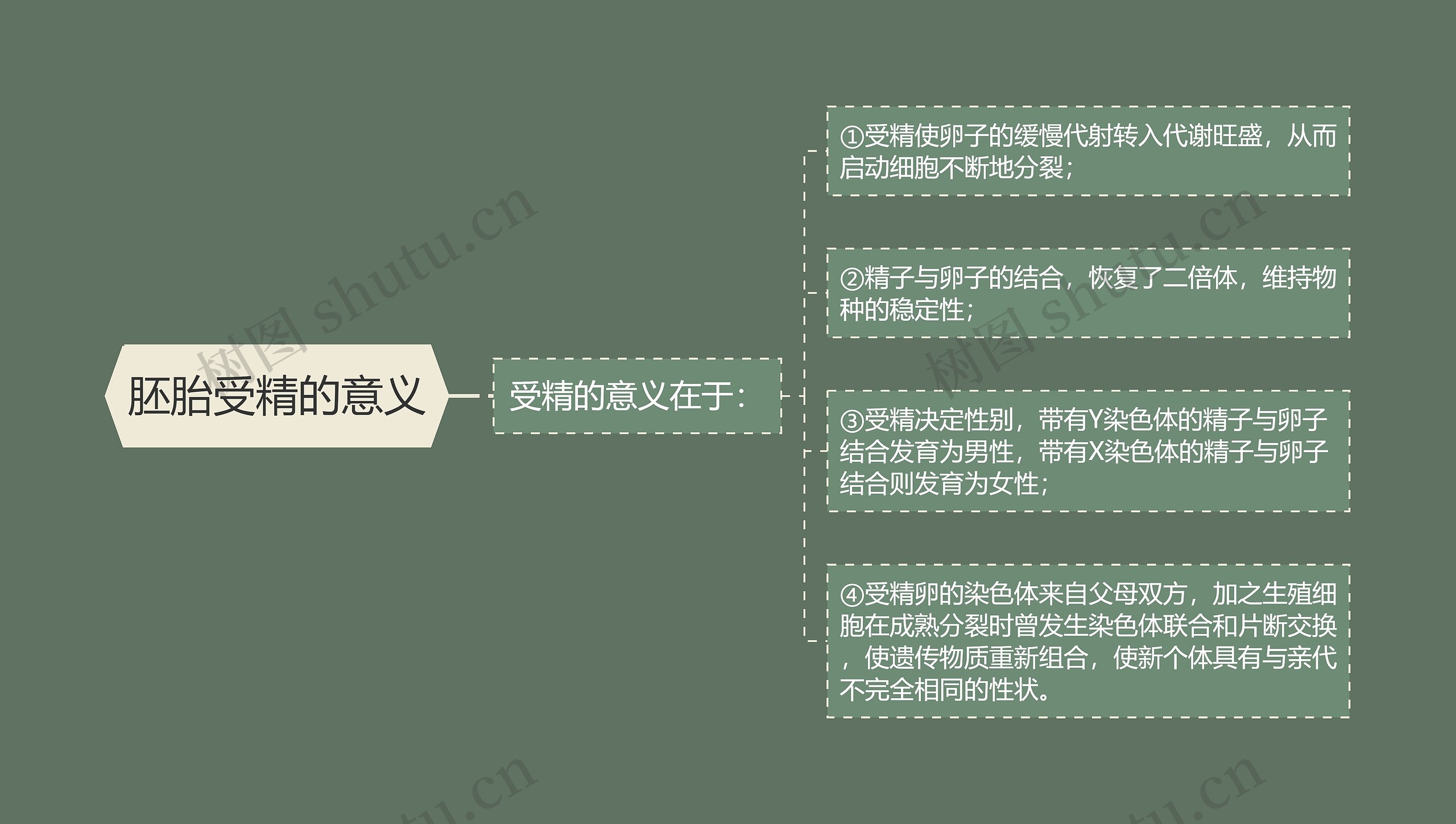 胚胎受精的意义 胚胎受精的意义