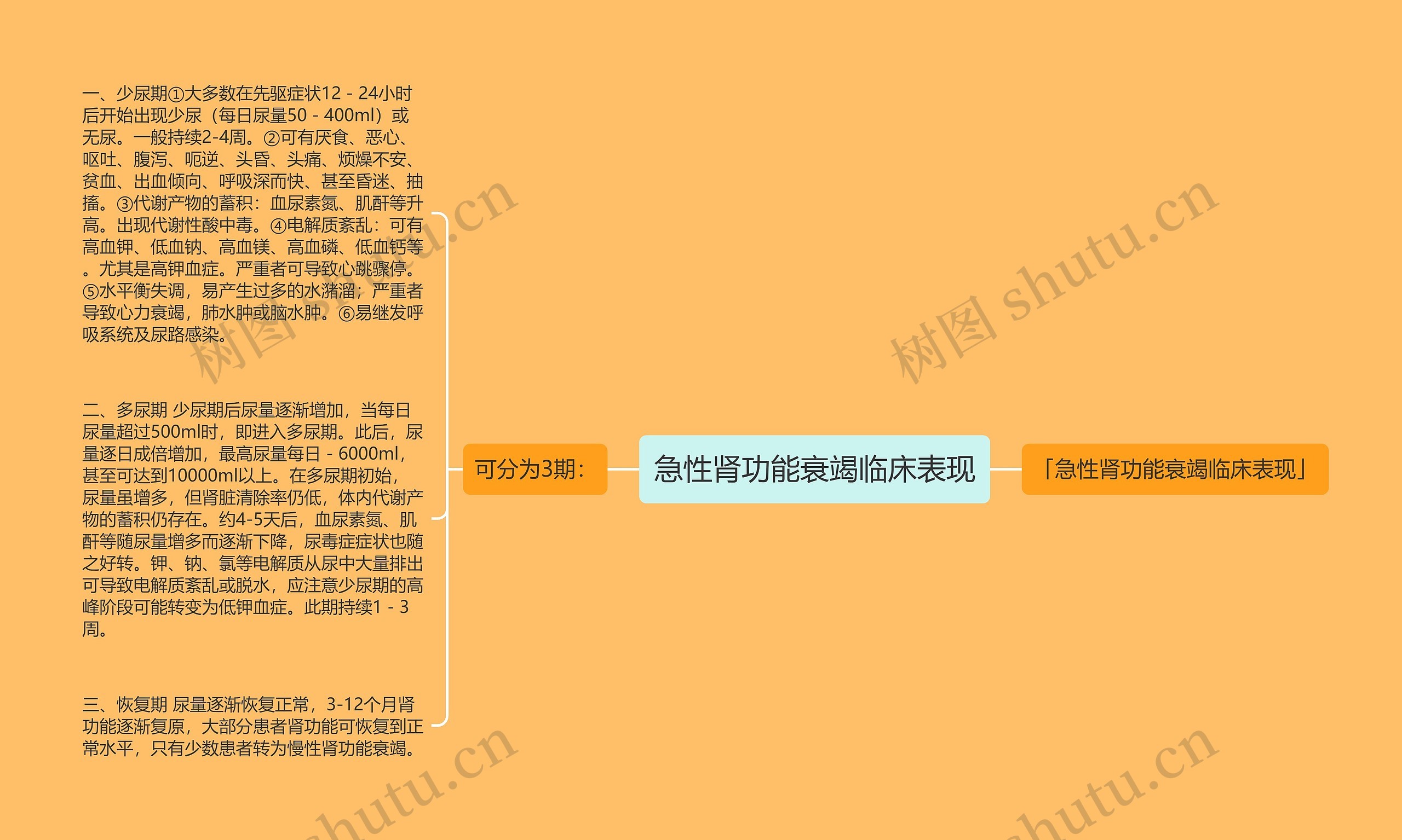 急性肾功能衰竭临床表现