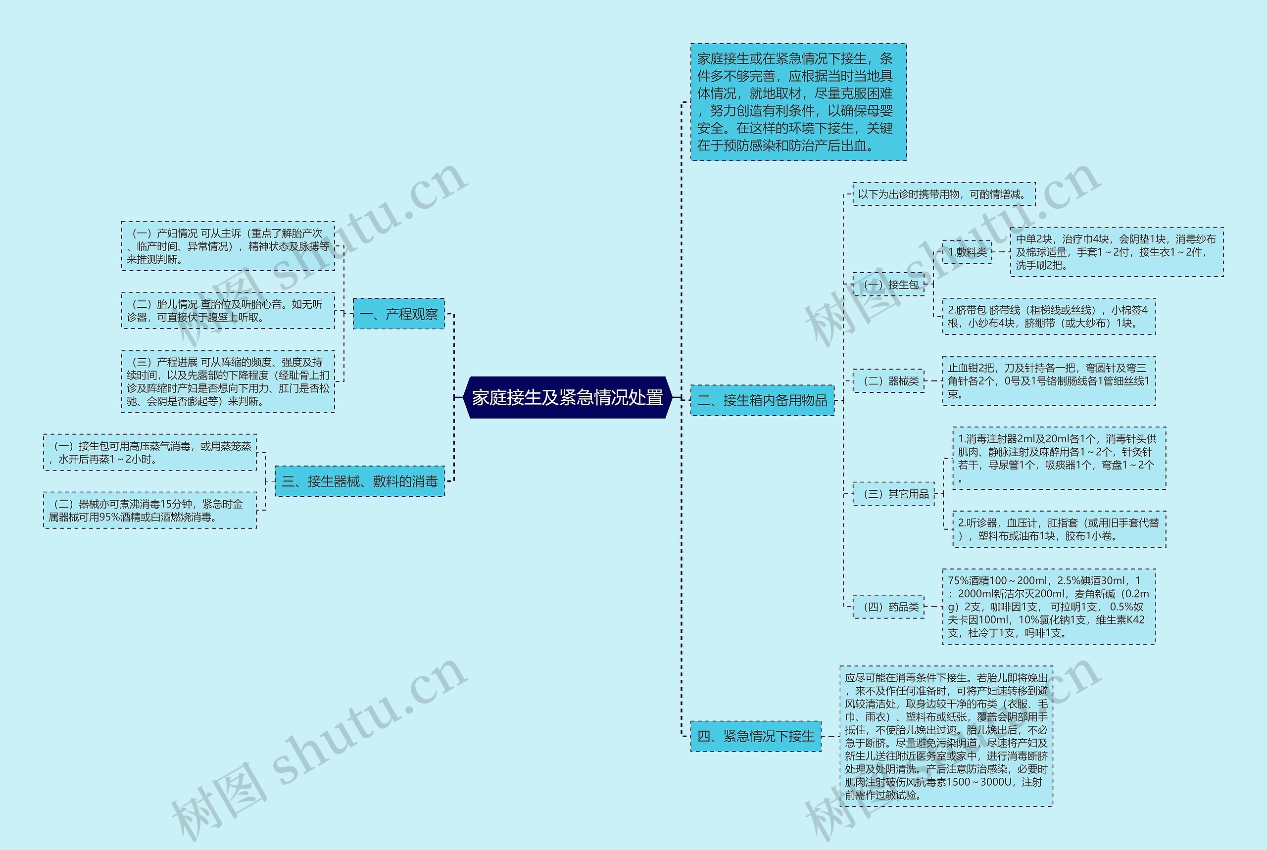 家庭接生及紧急情况处置 家庭接生及紧急情况处置