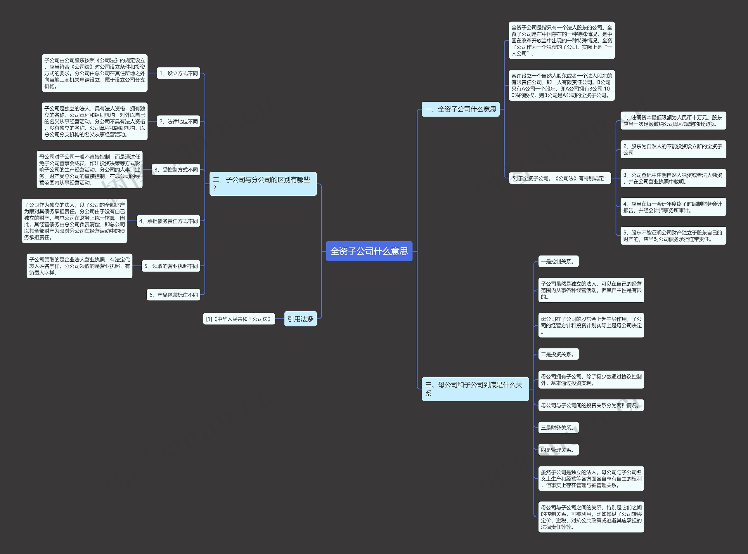 全资子公司什么意思思维导图